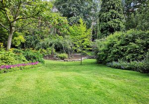 Optimiser l'expérience du jardin à Aignay-le-Duc